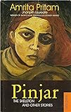 Pinjar: The skeleton and Other stories