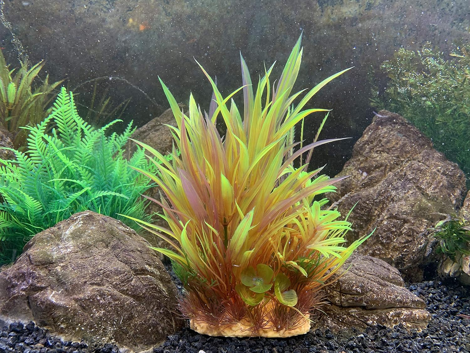G4 Good For All Fish Pets Begondis Aquarium Decorations 5pcs Fish Tank Artificial Green Water Plants Made Of Soft Plastic Fish Aquatic Pets Pet Supplies Mymobileindia Com