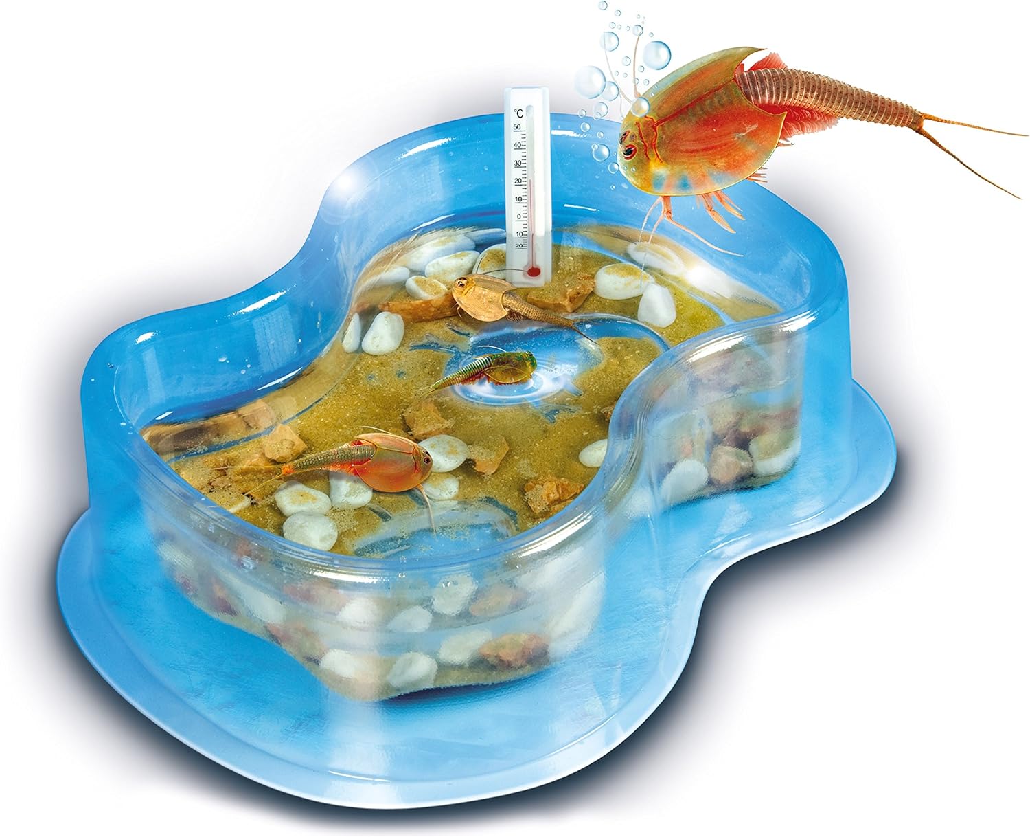 Wetenschap Triops Kweken 7+, Multicolor, Medium - Image 3