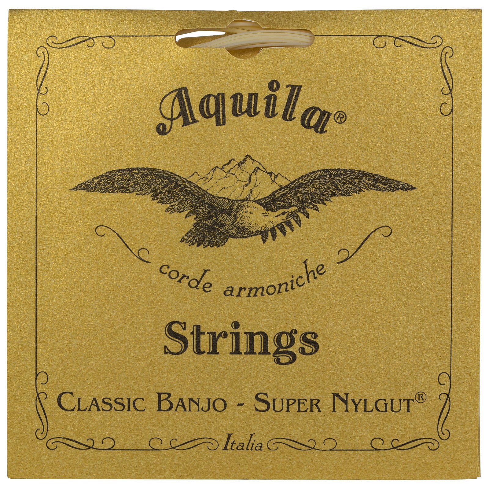 Aquila New Nylgut AQ-1B Medium Tension DBGDG 4th Red Series Banjo Strings 5-Piece Set