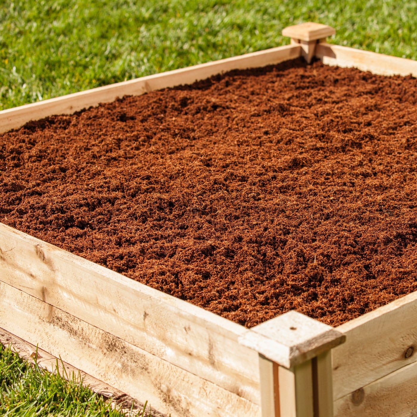 Miracle-Gro Expand 'n Gro Concentrated Planting Mix 0.33 Cu Ft : Garden & Outdoor