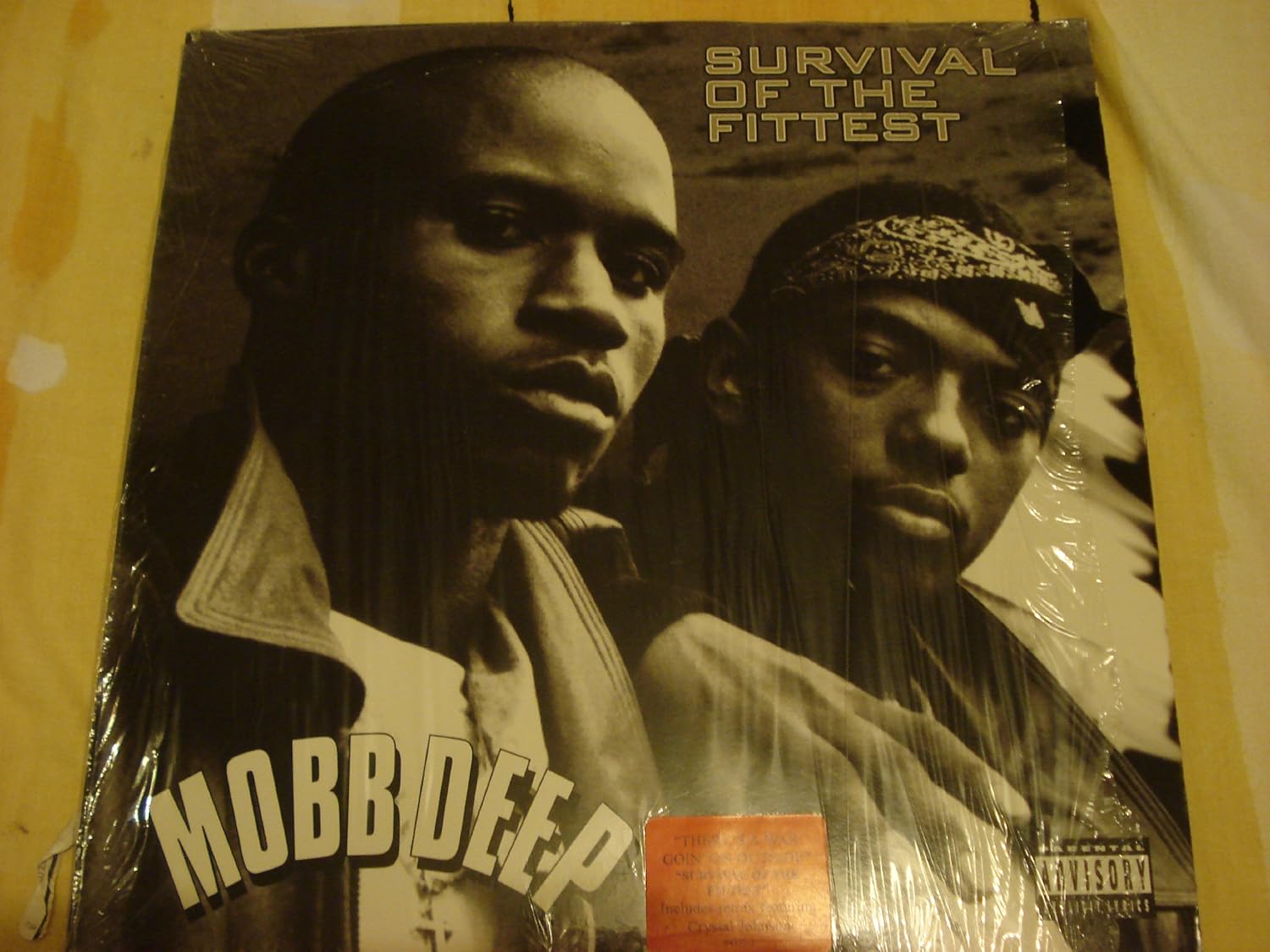 Mobb Deep Survival Of The Fittest Beat