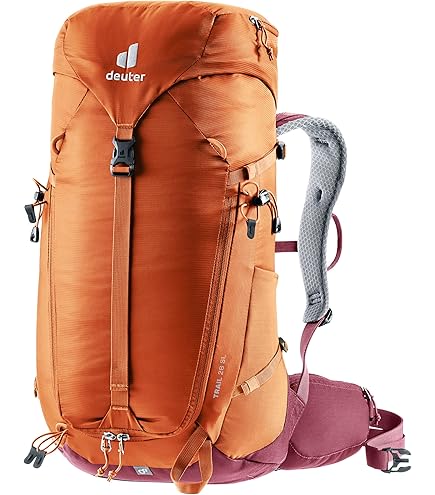 Amazon.com : Deuter (doita-) Astro 290 ds49138 – 500