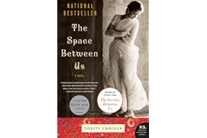 The Space Between Us: A Multilayered Novel of Honor, Tradition, and Gender Struggles in Modern India