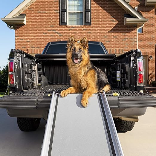 top paw telescoping pet ramp