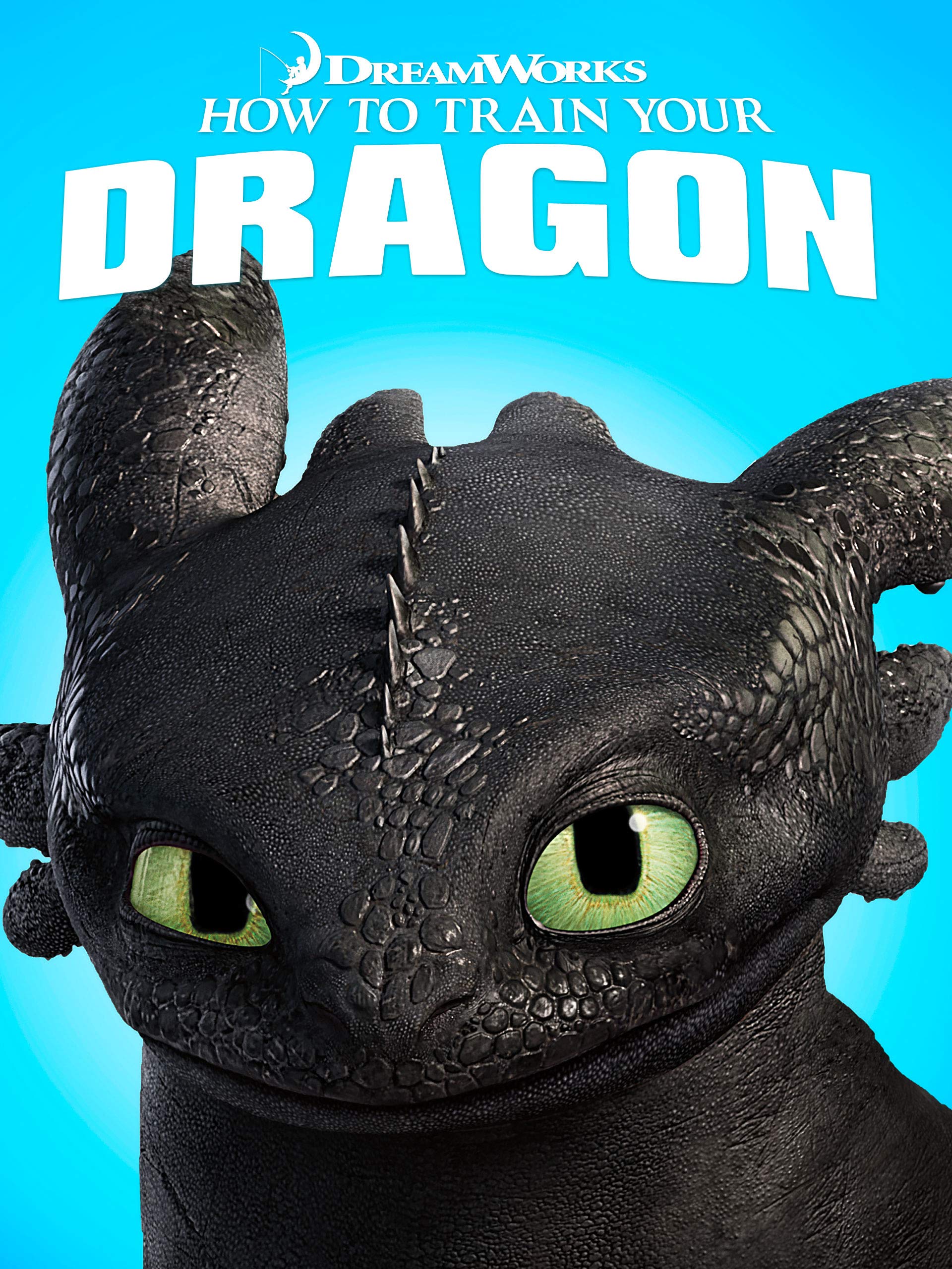 Imdb How To Train Your Dragon