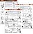 Amazon.com: Stretch and Strengthen Poster: Core Exercise Chart: Posters