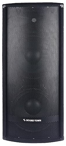 Sound Town Dual 12