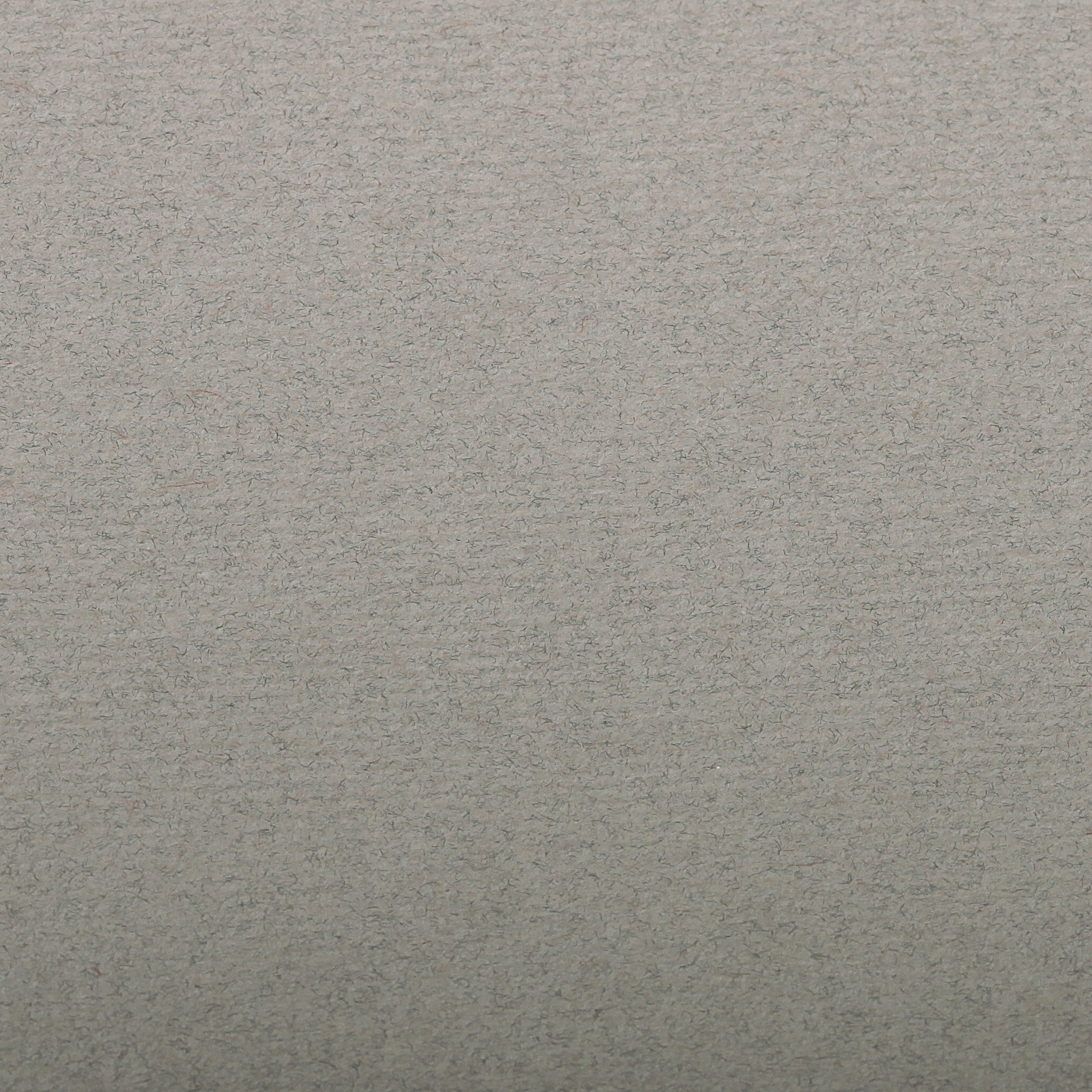 Clairefontaine - Ref 93515C - Ingres Pastel Coloured Paper (Pack of 25 Sheets) - 50 x 65cm, 130gsm Drawing Paper, Dark Grey - Suitable for All Dry Techniques