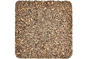 Briess-BM-5332 Rye Malt (5 lb) - Brown