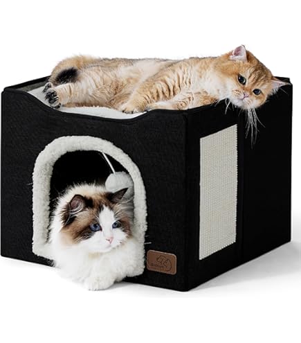 Bat House Gothic Cat Bed For Indoor Cats Or Pets, Foldable Cat