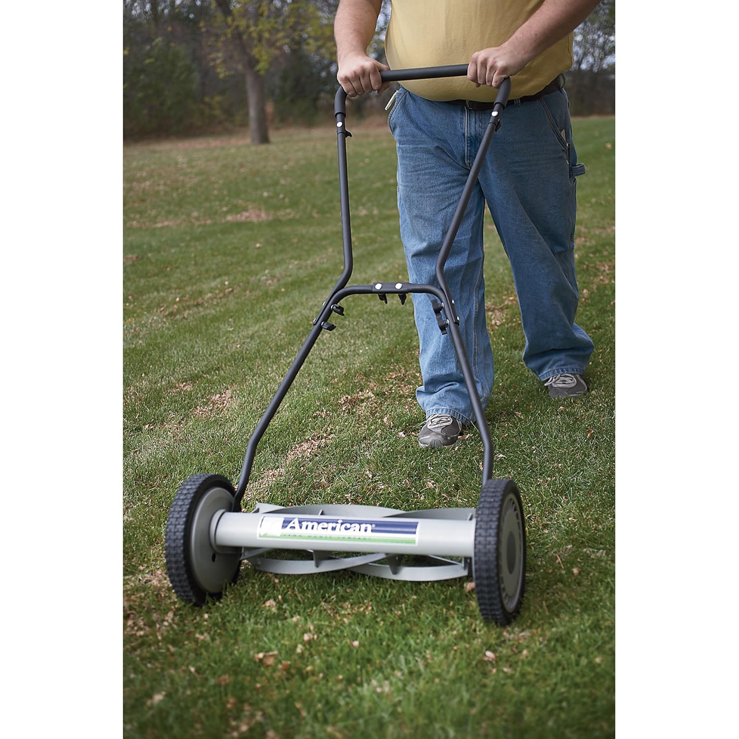 Best push lawn mower with catcher