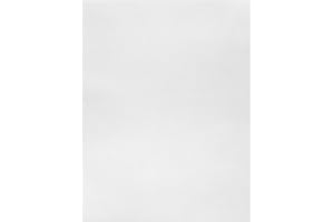 Metallic Silver Vellum Paper Sheets 8.5 x 11 inch 100gsm Translucent Printable Tracing Clear Paper for Sketching Tracing Drawing Drafting Pack of 50 by Quotidian