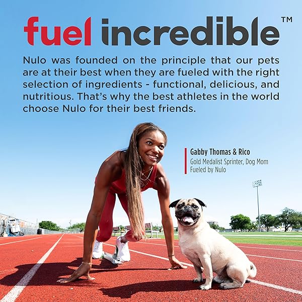 NULO FREESTYLE LIMITED INGREDIENT DRY DOG FOOD – HIGH PROTEIN SALMON RECIPE, NATURAL GRAIN FREE DOG FOOD FOR PUPPIES & ADULTS, SMALL, MEDIUM AND LARGE BREED KIBBLE, 5.5LB BAG