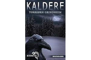 Kaldere (Stein Time Book 1) (Norwegian Edition)