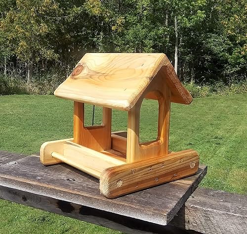 Amazon Com Small Fly Through Platform Bird Or Squirrel Feeder