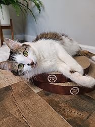 Necoichi Cat Scratcher Bowl Replacement for Indoor
