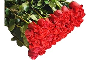 Blooms2Door Flowers - Mother's Day Collection - 100 Red Roses (Long Stem - 50cm) - Wholesale Fresh Flowers I Gift for Birthday, Anniversary, Thank You, Mother’s Day Fresh Flowers.