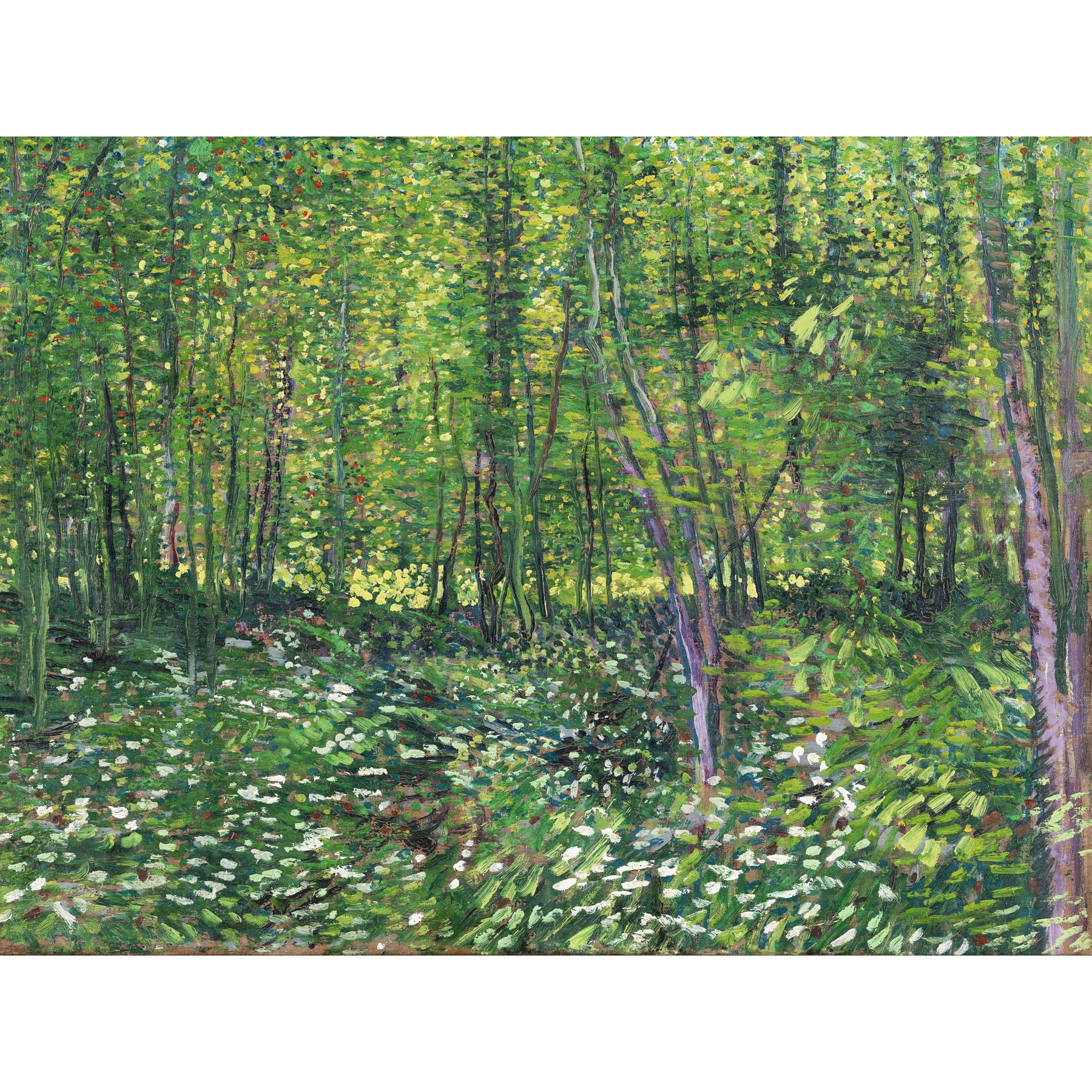 Vincent Van Gogh Trees And Undergrowth Large Wall Art Print Canvas Premium Poster Mural