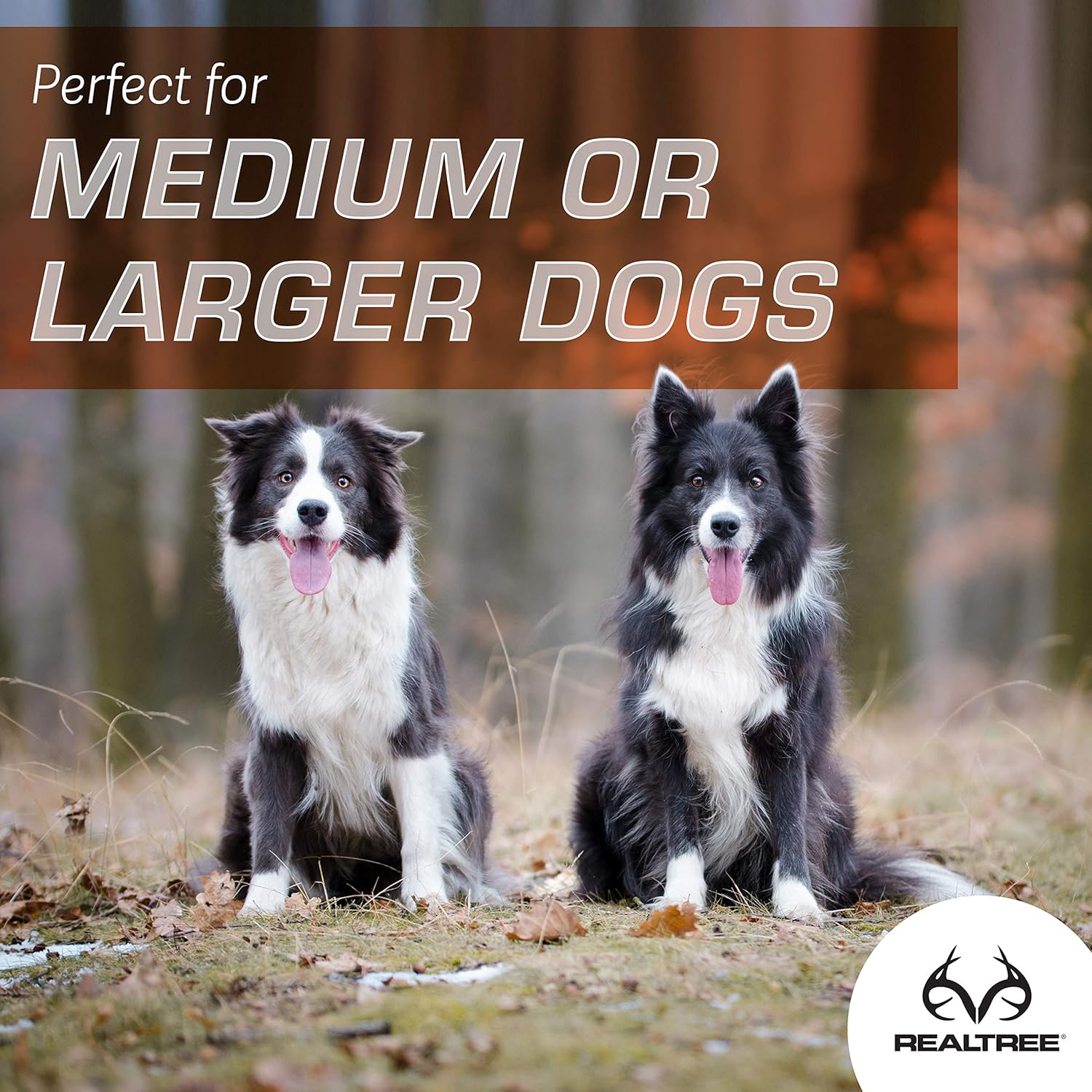 Amazon Com Realtree Max 5 Camouflage Weather Resistant Dog Bed For Indoors And Outdoors Max 5 Khaki 30 X 40 Inches Cedar Dog Beds Pet Supplies