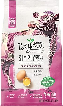 beyond dry dog food