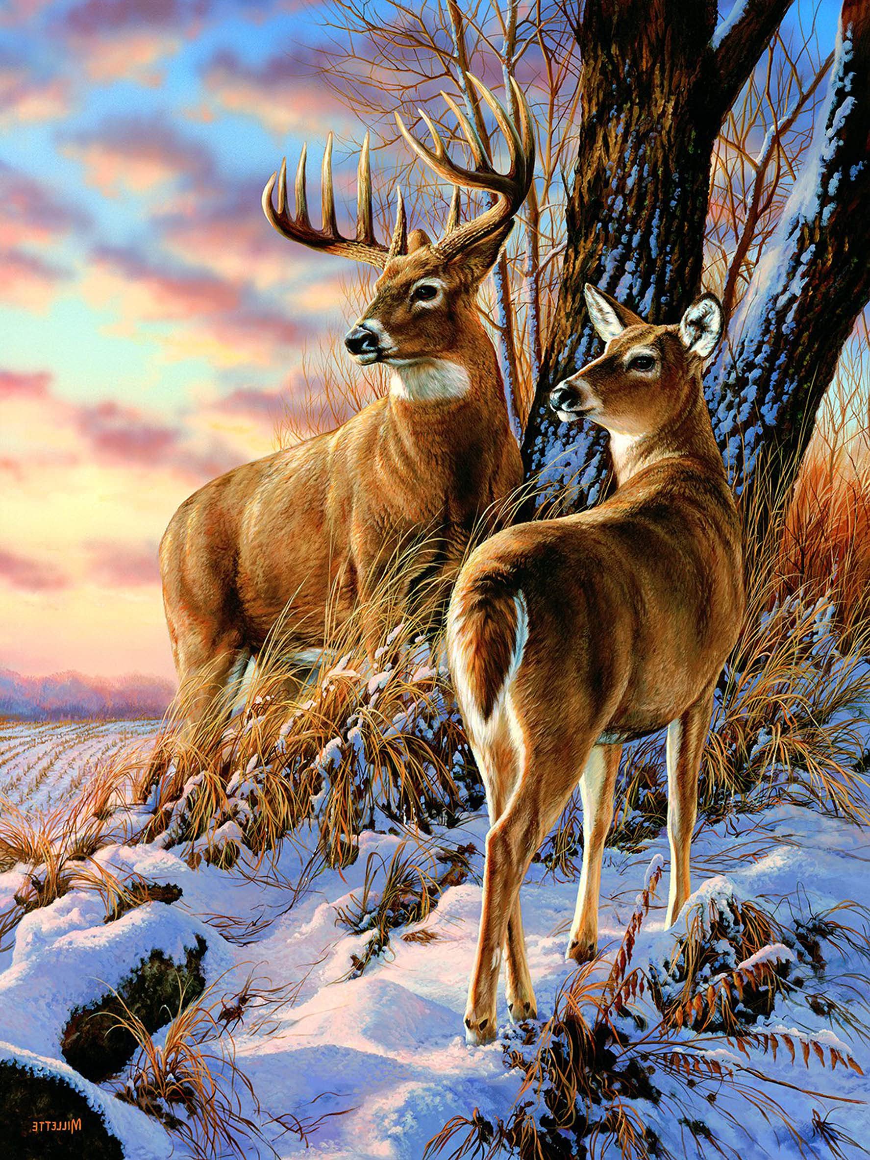 Showker DIY 5D Diamond Painting Elk Kit for Adults - Diamond Art Sunset Rhinestone Crystal Embroidery Cross Stitch | Home Wall Decoration - 30x40 cm