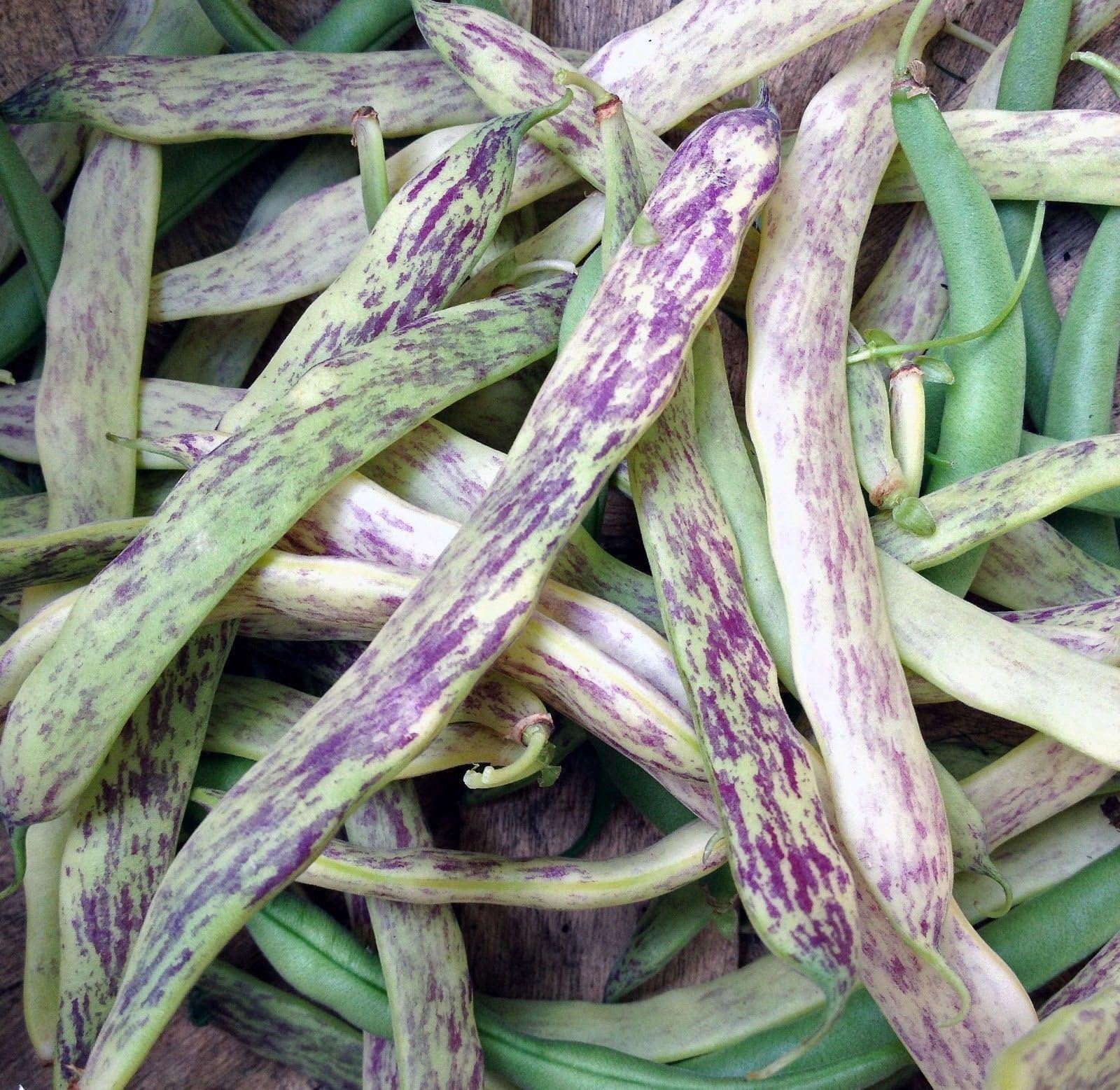 50 Dragon Tongue Beans - triple purpose bean,snap bean, green shell, dried bean)