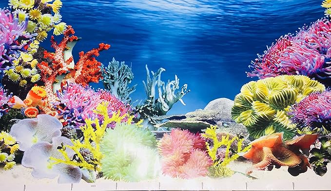 shalimar fish aquarium & pet shop