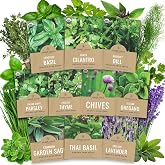 Organic Herb Seeds Variety Pack - 10 Individual Packs - 2026 Season - Basil, Cilantro, Dill, Thyme, Parsley and More! for Indoor &amp; Outdoor Planting (Non-GMO, Certified Organic)