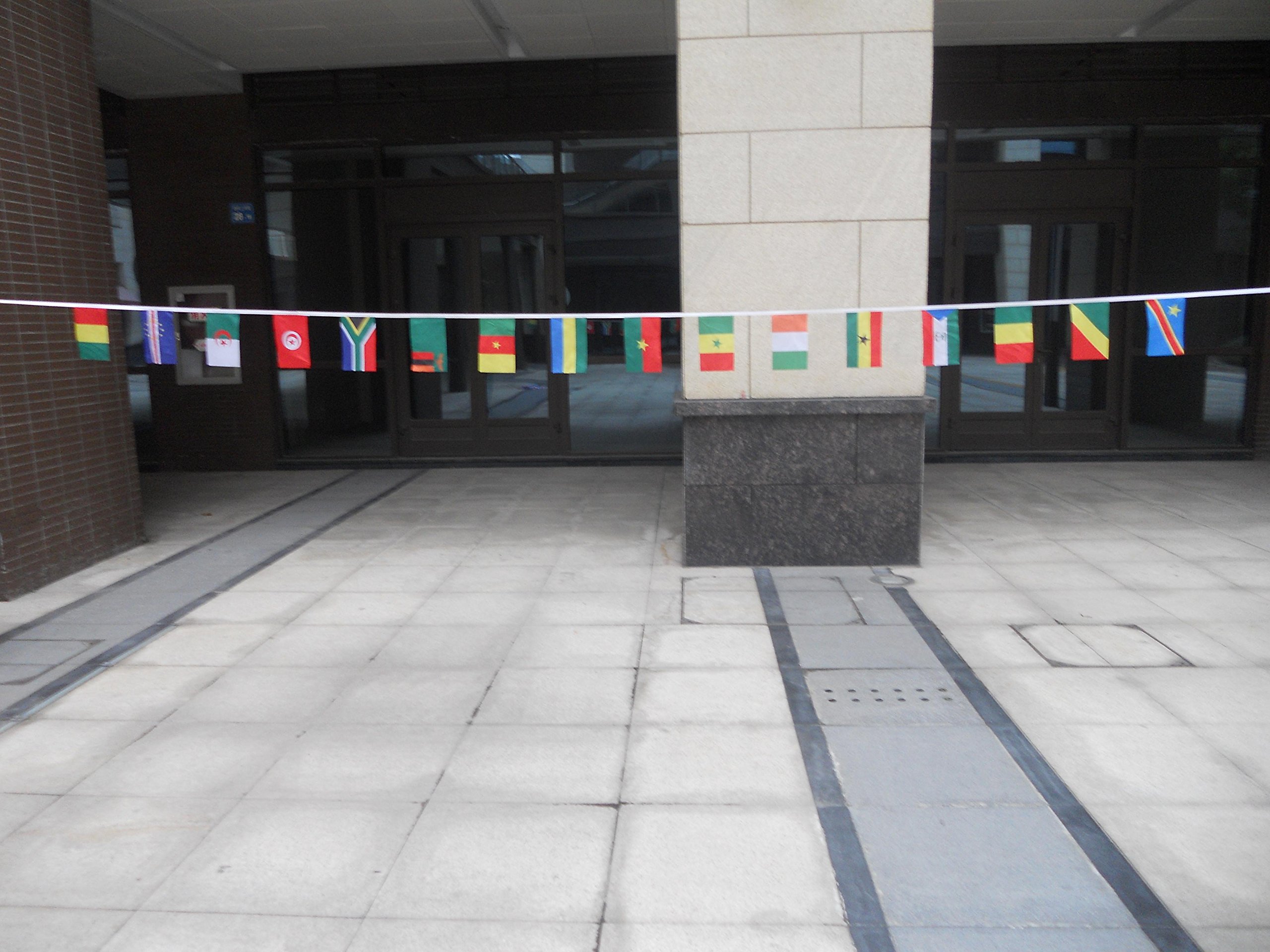 AZ FLAG Football Africa Cup of Nations 2015 Bunting Flag - 16 Feet Garland with 16 Small CAN Flags 8'' x 6'', 100% Polyester String Pennant - 5 meters — image 1