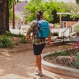 Osprey Daylite Backpack 20L Blue Spikemoss/Alkaline One Size view 6