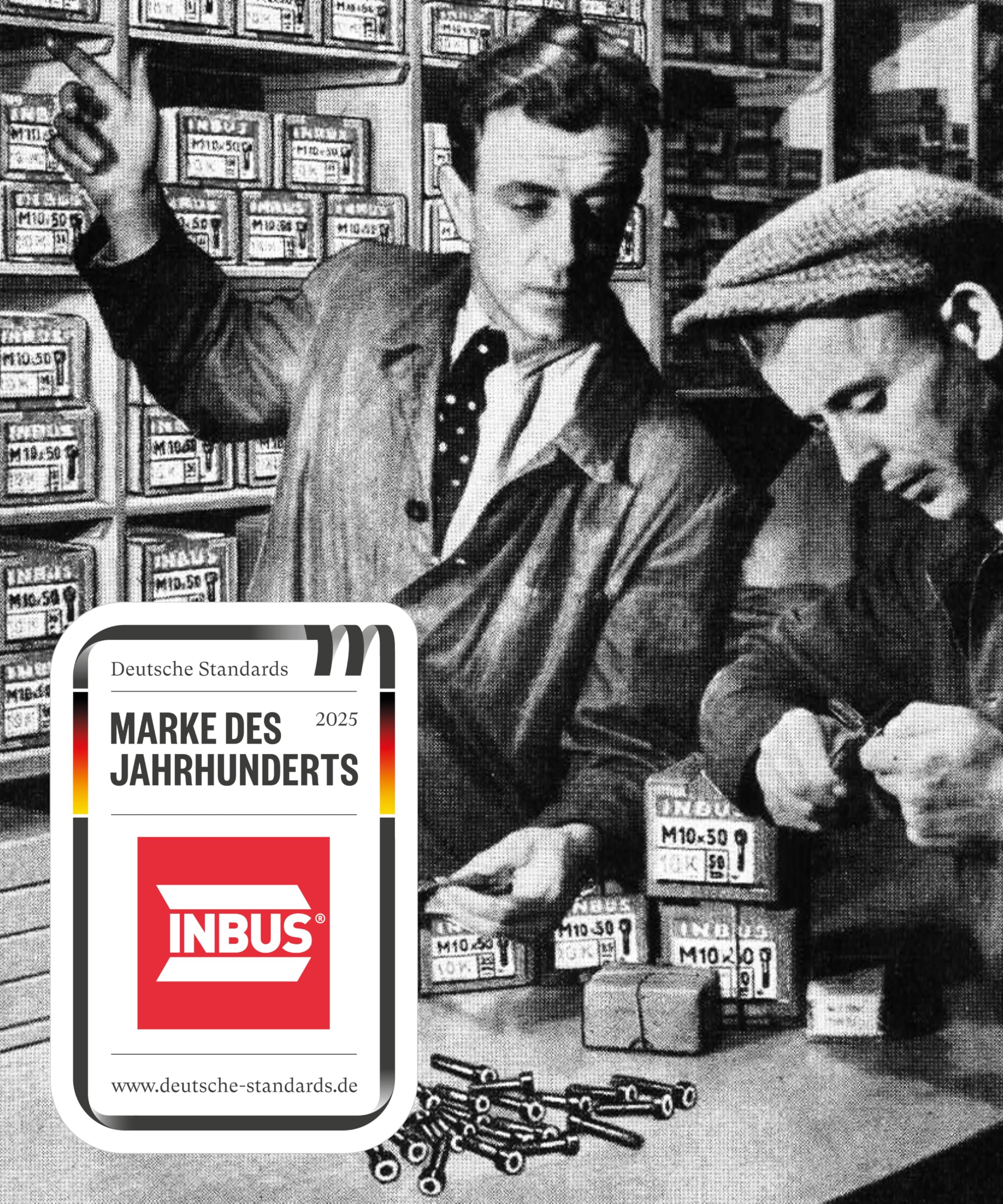 INBUS® 70129 T-Griff Schraubendreher Set 8tlg, 2–10mm, mit HybridTouch — Made in Germany 9