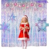 GREATRIL Iridescent Foil Fringe Curtain 1m x 2m Pack of 2 Backdrop view 8