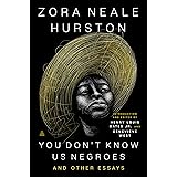You Don’t Know Us Negroes and Other Essays