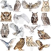 48Pcs Owl Theme Cupcake Toppers Owl Birthday Party Decorations Woodland Animal Cake Topper Decorations for Forest Animal Baby Shower Party Supplies