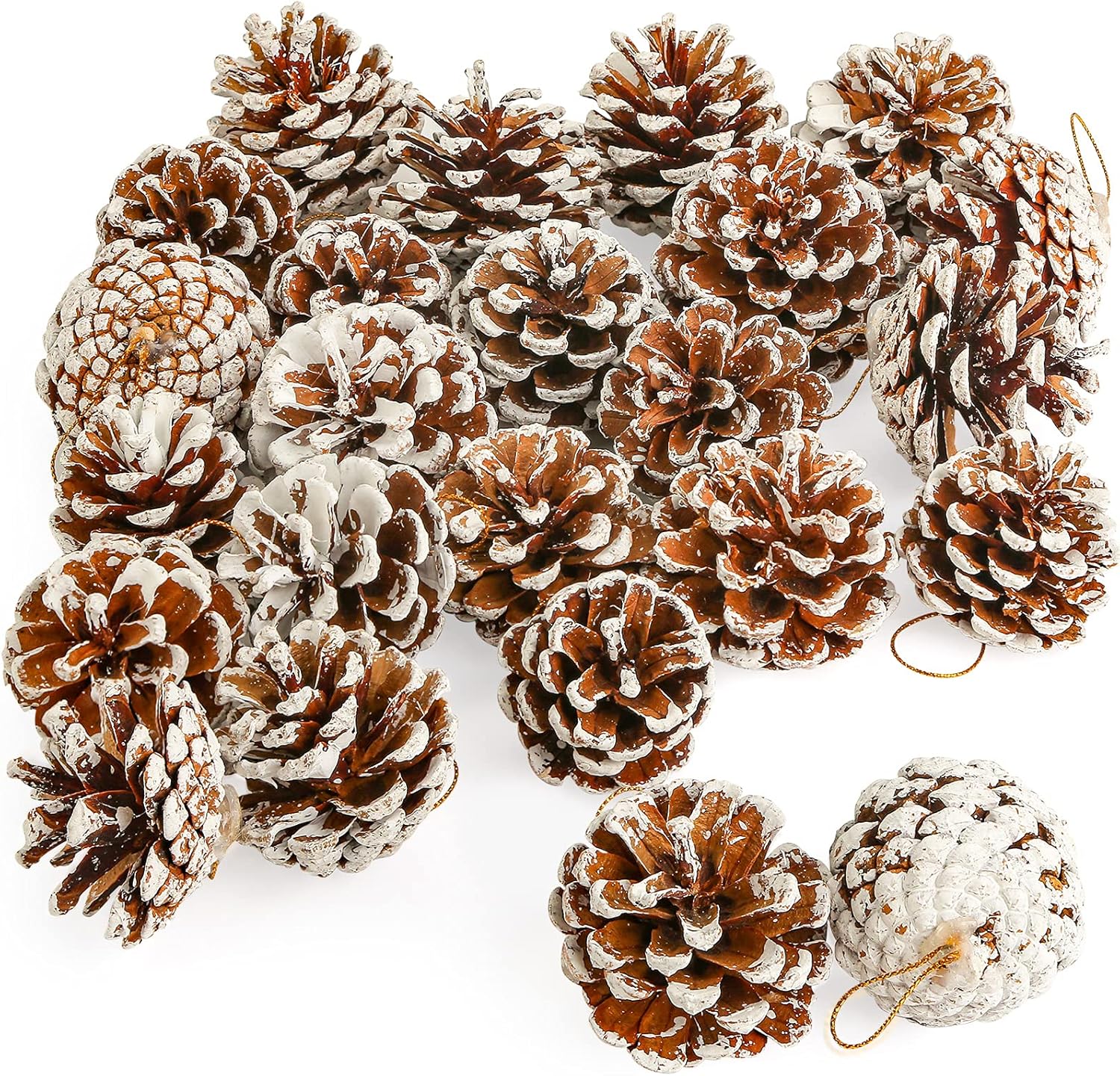 Vase Fillers - JOHOUSE 24PCS White Pine Cones, Snow PineCones Christmas Pine Cones Natural Pine Cones for Autumn and Winter Decor Christmas Decorations