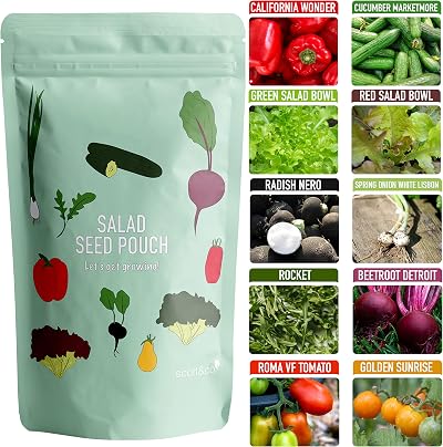 Scott&Co Salad Seed Starter Kit 10 Veg Varieties Indoor Outdoor Gardening