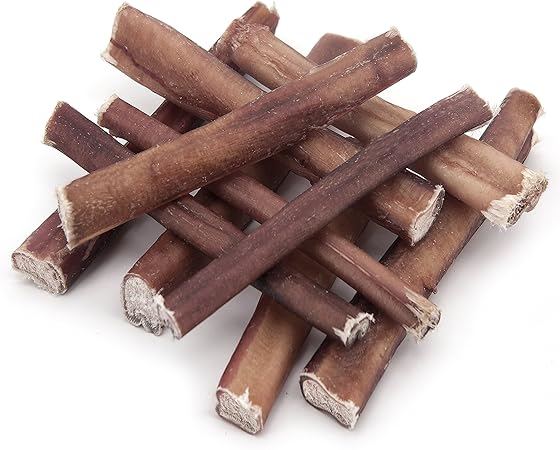 grey toy poodle for sale