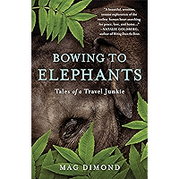 Bowing to Elephants: Tales of a Travel Junkie book cover