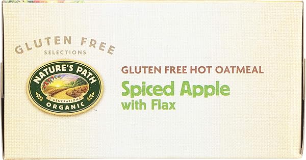 NATURE’S PATH ORGANIC SPICED APPLE + FLAX INSTANT OATMEAL, 11.3 OZ (PACK OF 6), GLUTEN FREE, NON-GMO