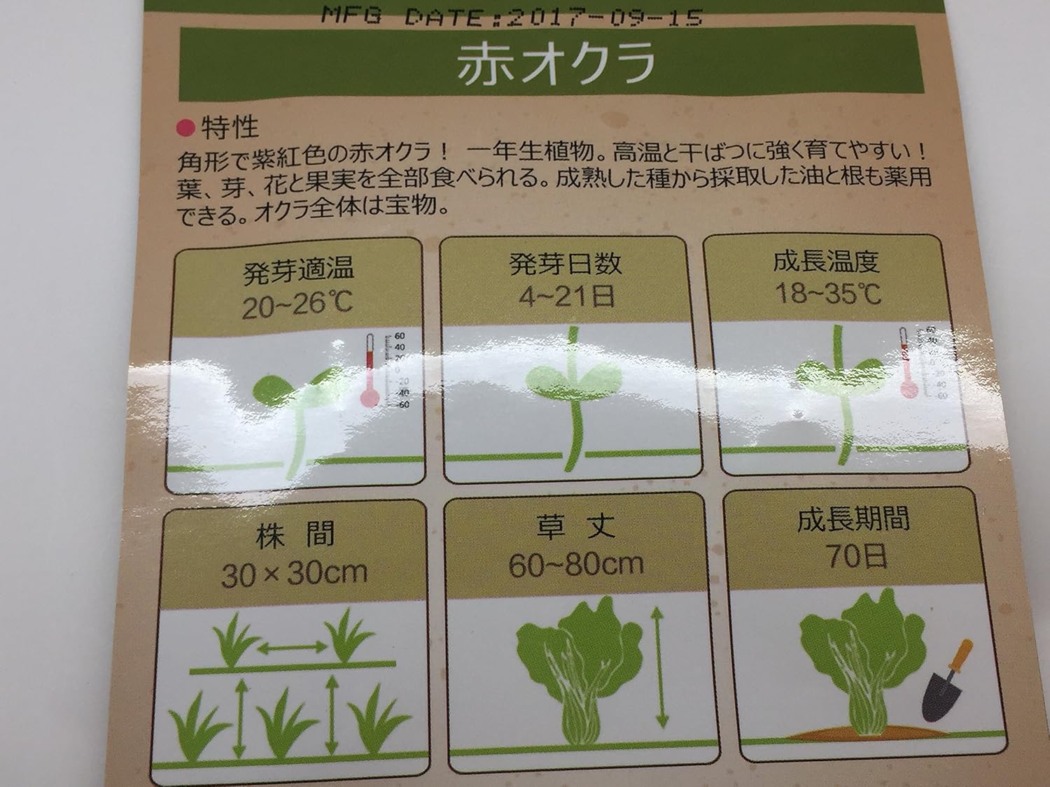 オクラ 発芽 日数 初心者 オクラの栽培 育て方のコツ 虫 病気対策と支柱や発芽のコツ 簡単 家庭菜園の始め方と初心者におすすめグッズ