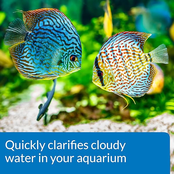 API ACCU-CLEAR FRESHWATER AQUARIUM WATER CLARIFIER 8-OUNCE BOTTLE