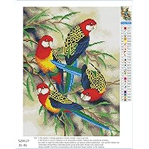 8-Quart Digital Air Fryer