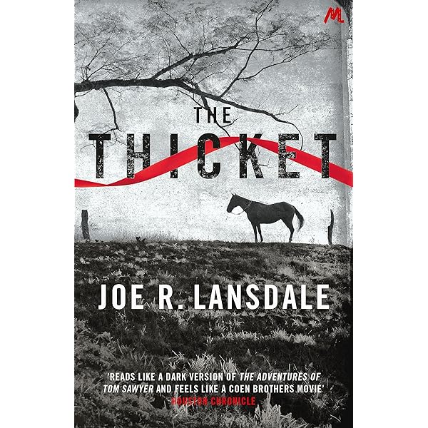 Amazon.com: The Thicket: 9780316188456: Lansdale, Joe R.: Books