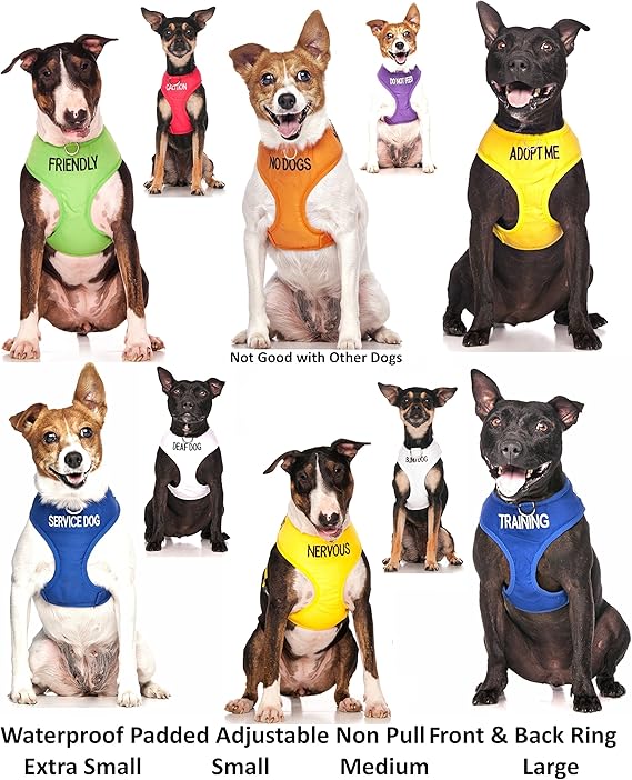 warning dog harness