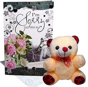 sorry gifts for boyfriend online