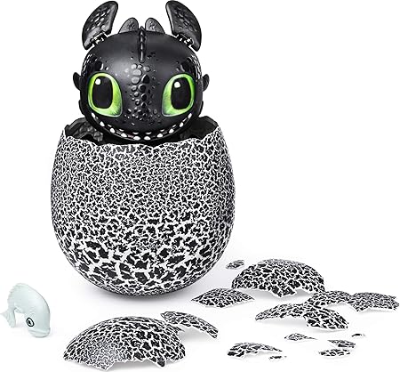 Dreamworks Dragons, Hatching Toothless 