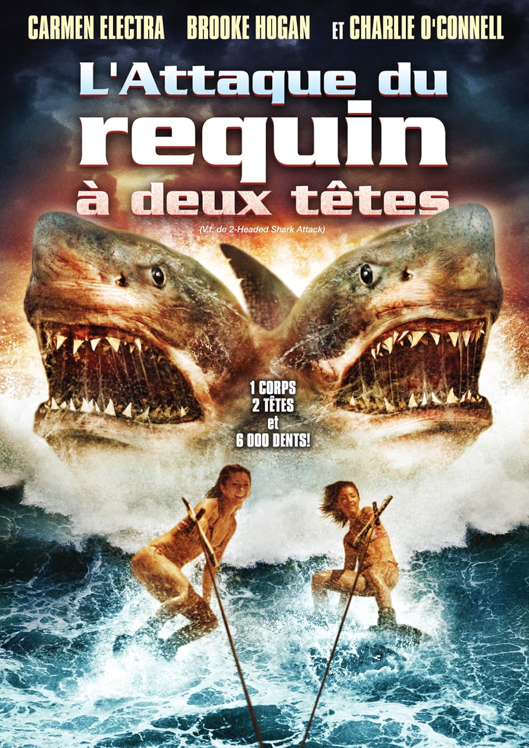 L Attaque Du Requin à Deux Têtes