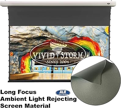 Amazon.com: VIVIDSTORM pantalla de tensión de presentación ...