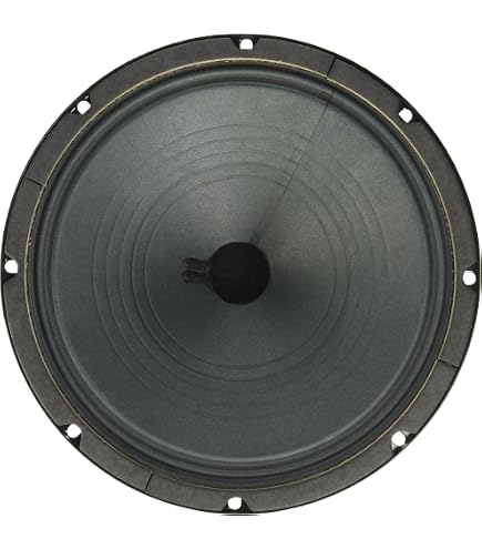 Amazon.com: Jensen Jet Blackbird 12